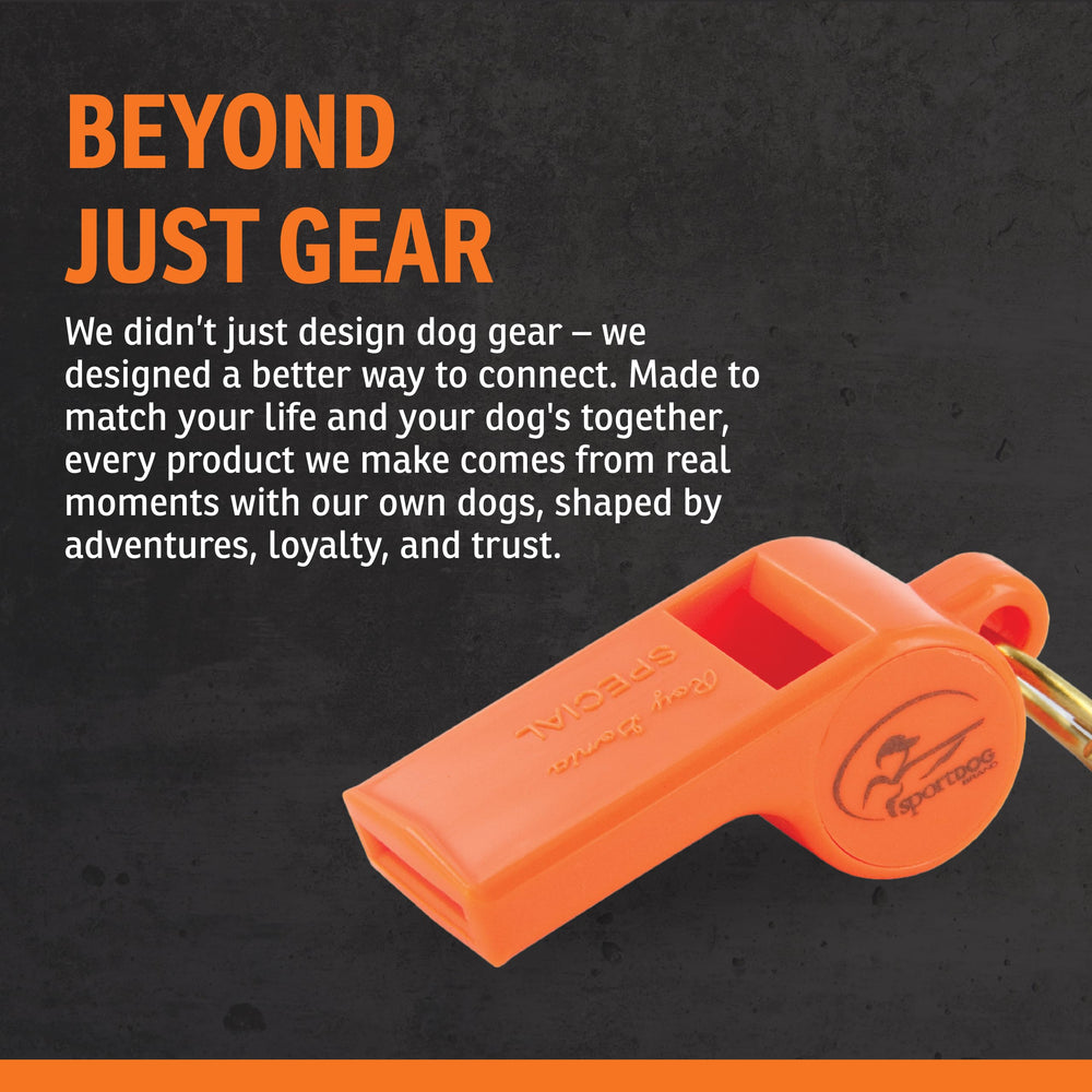 Sans trille: SportDOG Roy Gonia Special.