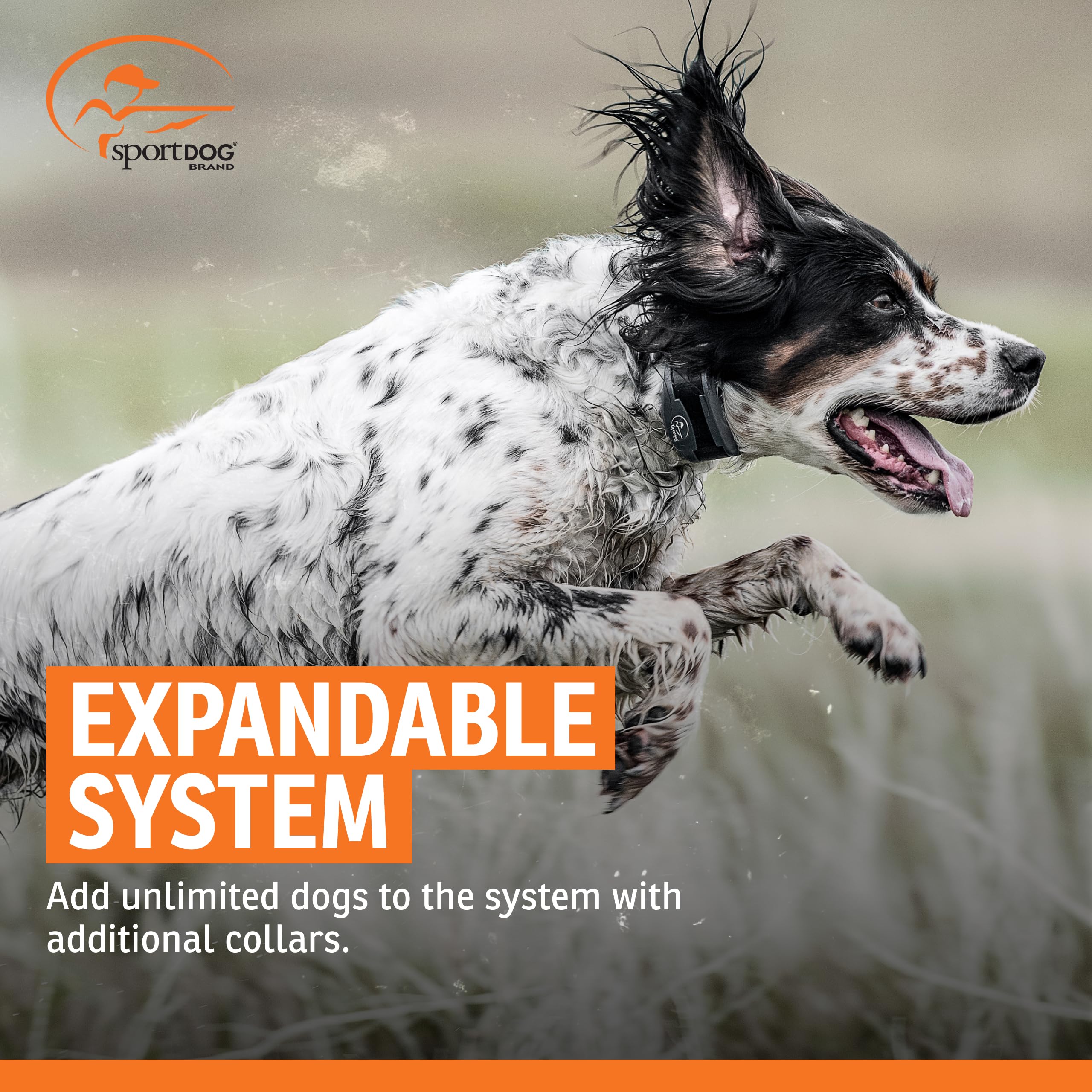 Utilisateur professionnel sur terrain utilisant SportDOG pour fiabilité et contrôle.