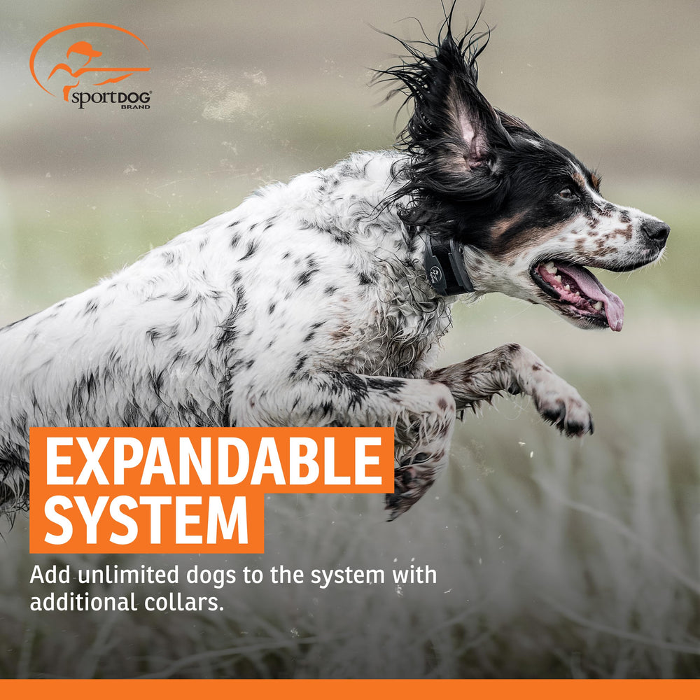 Utilisateur professionnel sur terrain utilisant SportDOG pour fiabilité et contrôle.