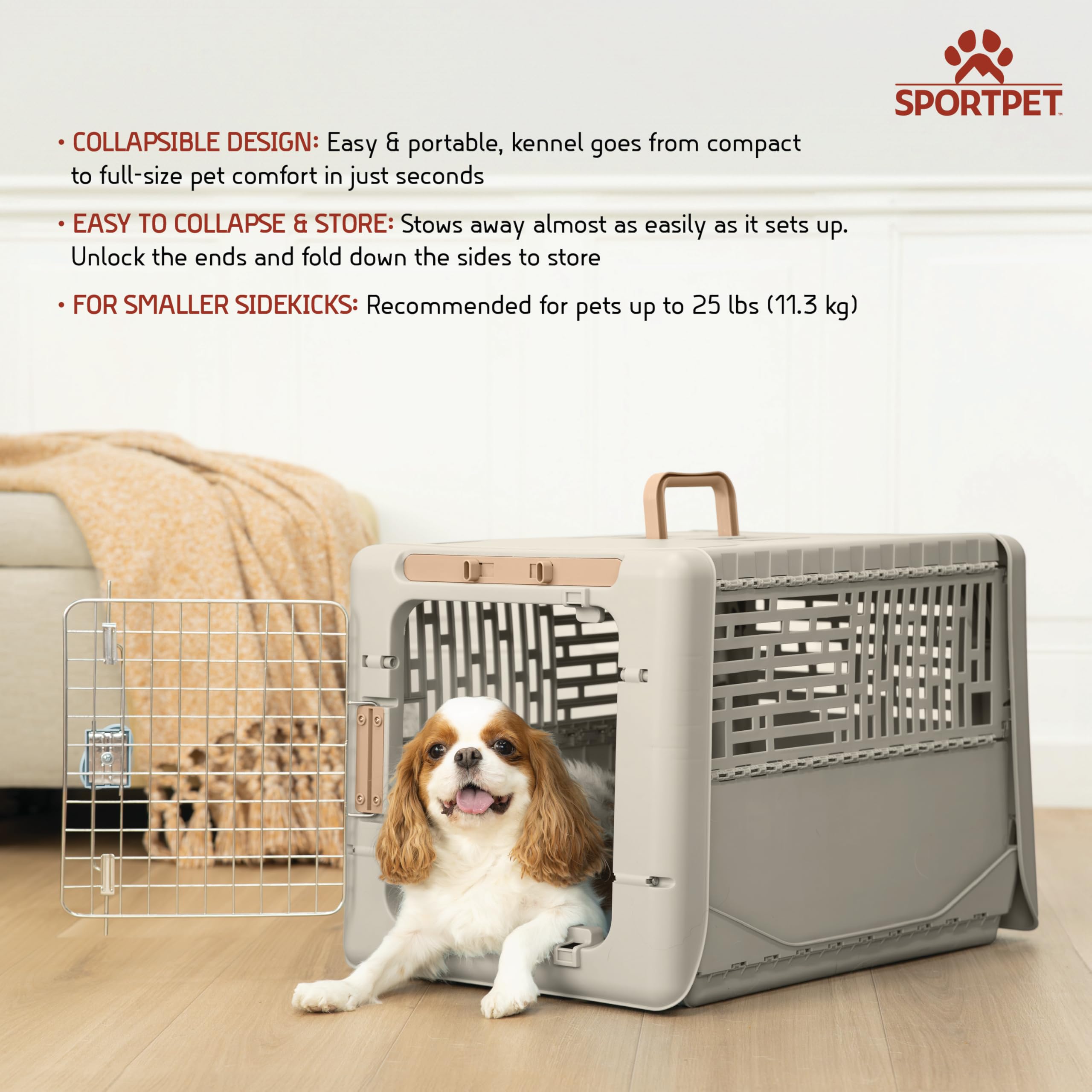 Boîte rigide SportPet Designs pour petits animaux, durable et facile à nettoyer.