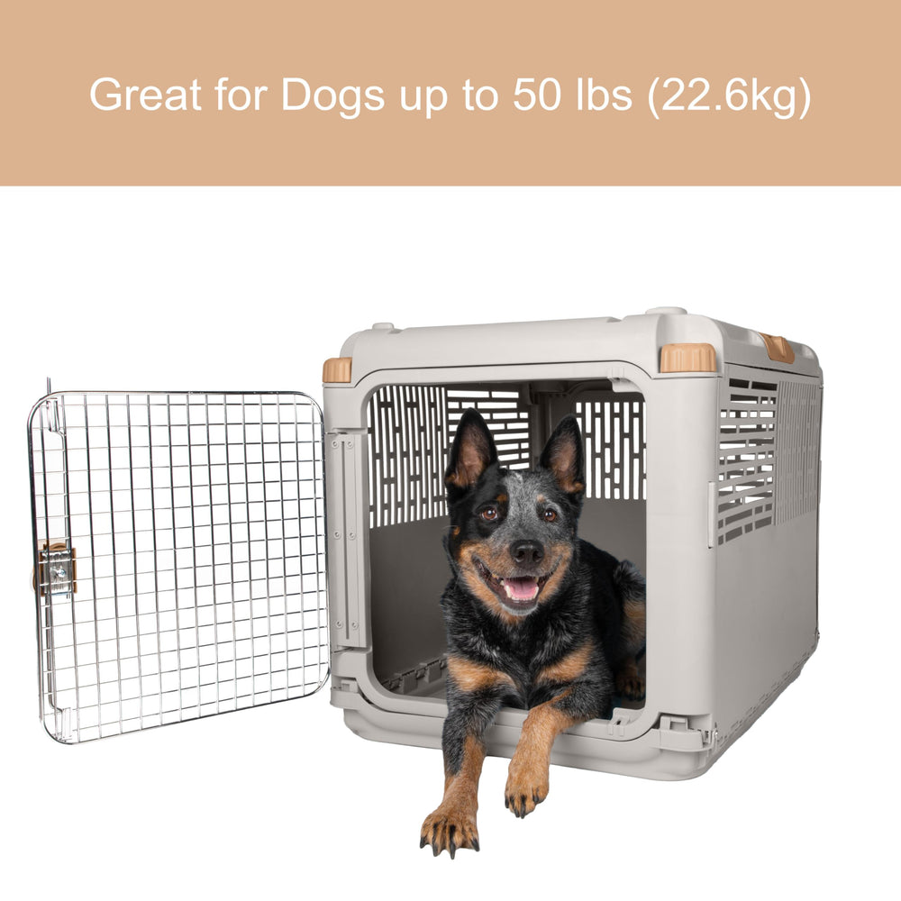 SportPet Designs: utilisation intérieure et extérieure adaptée aux animaux moyens.