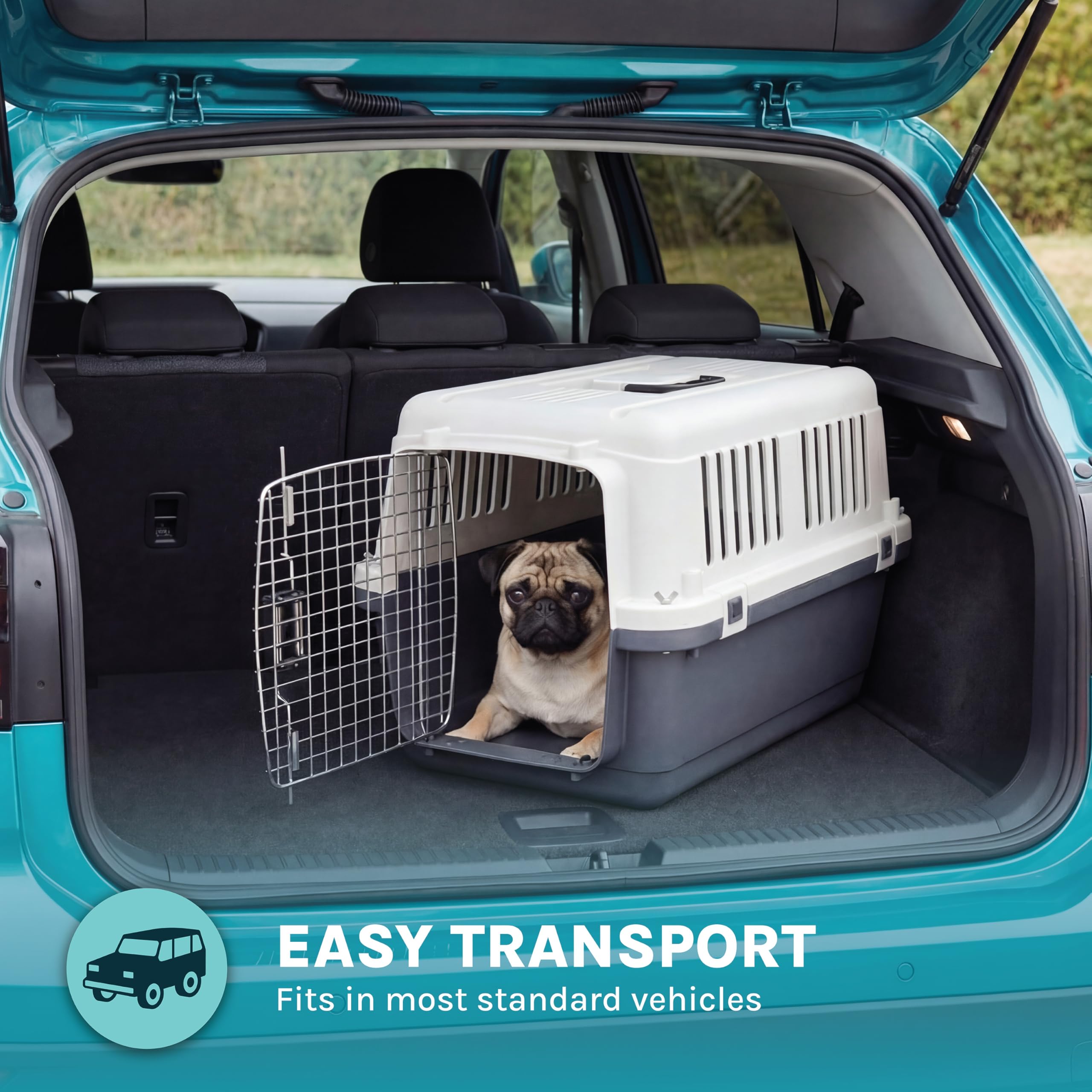SportPet: usage intérieur et extérieur, pratique à la maison comme en voyage.