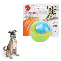 SPOT Balle Sensorielle: cloche et couleurs vives attirent le chien et stimulent le jeu.