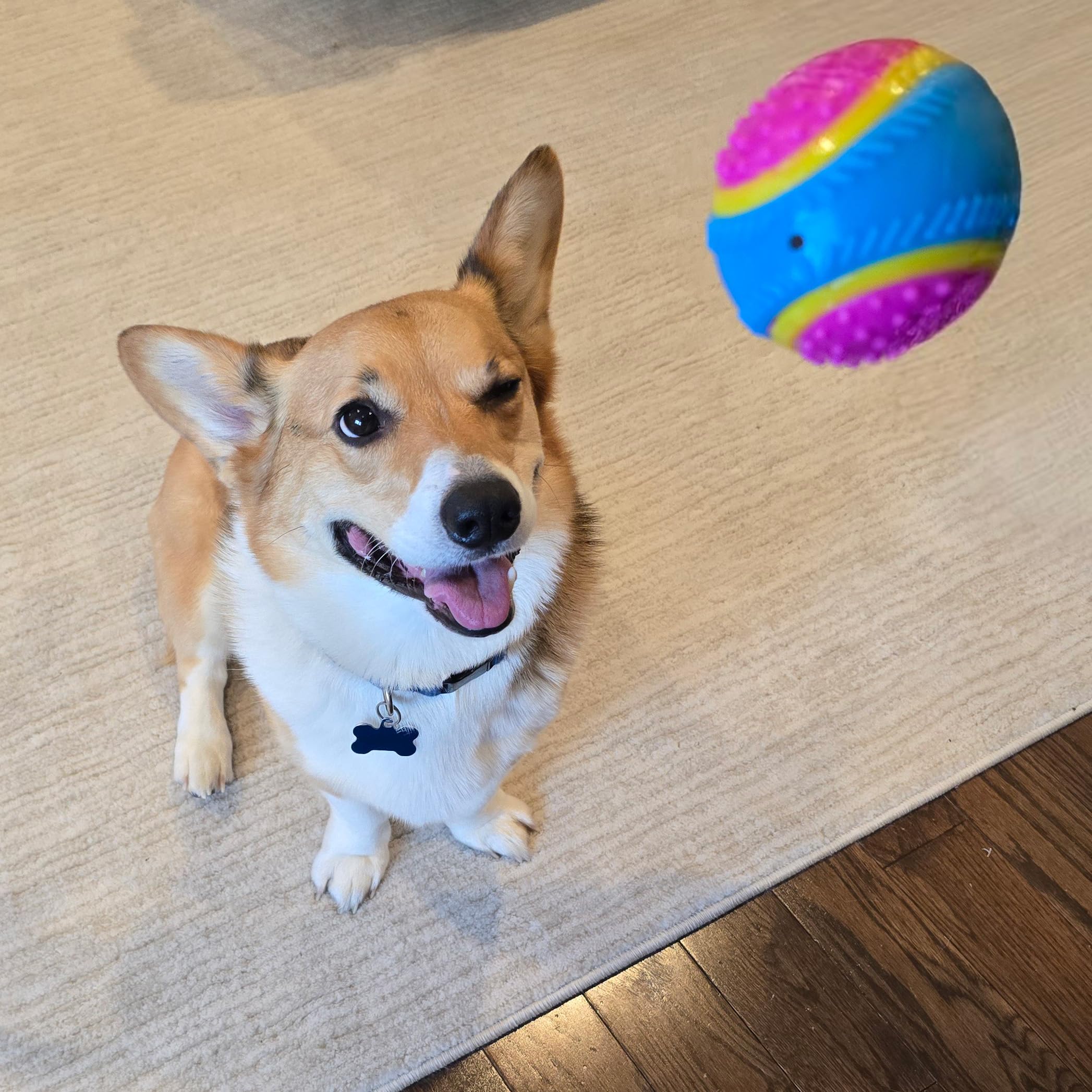 SPOT Balle Sensorielle: taille 3,25 pouces adaptée aux chiens de taille moyenne.