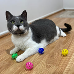 SPOT balle à fentes, jouet durable et sûr pour chats