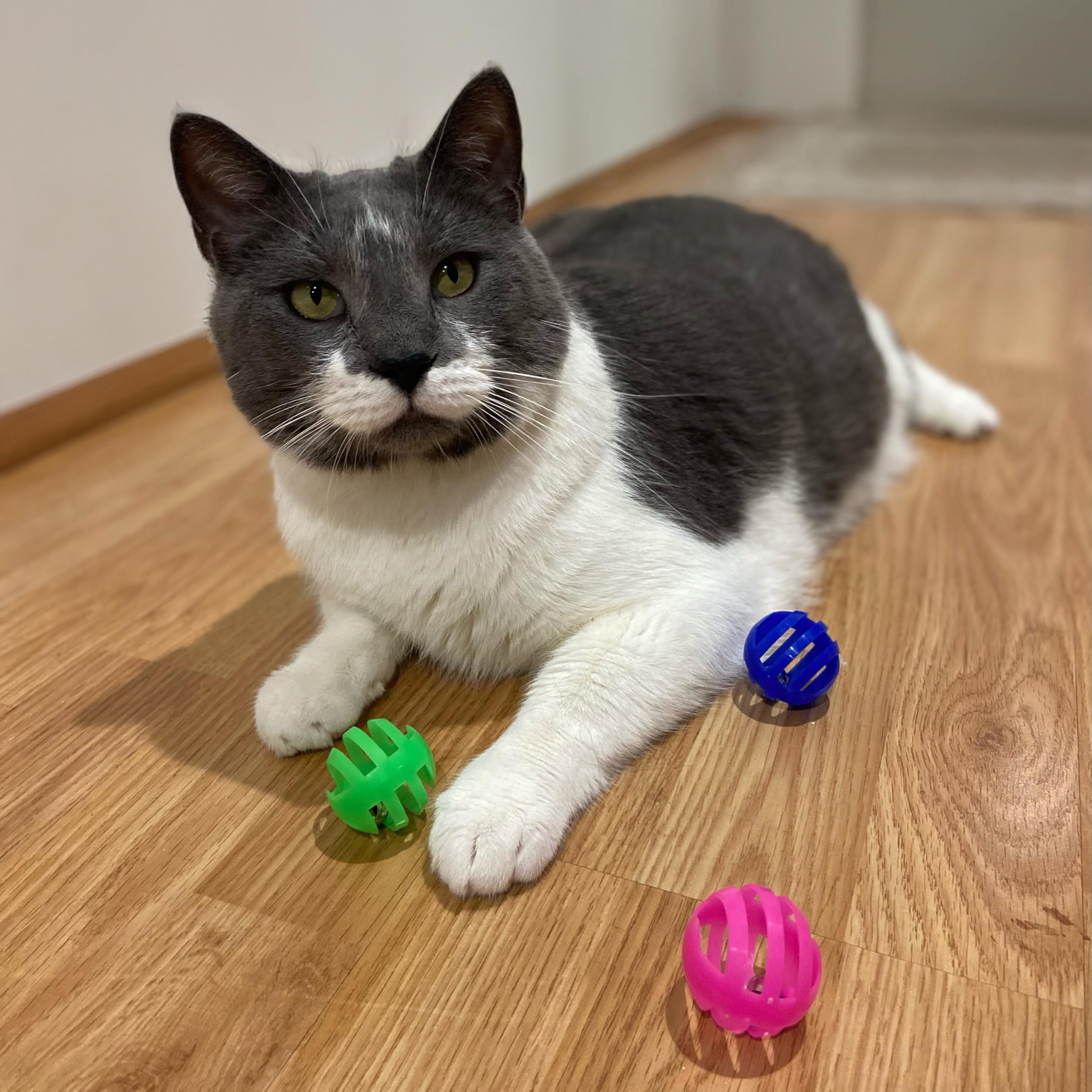 SPOT balle à cloche stimule l’instinct de chasse chez le chat