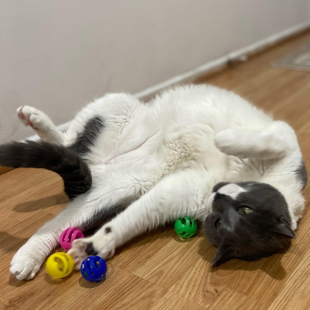 SPOT ballon interactif pour chat, capacités sensorielles