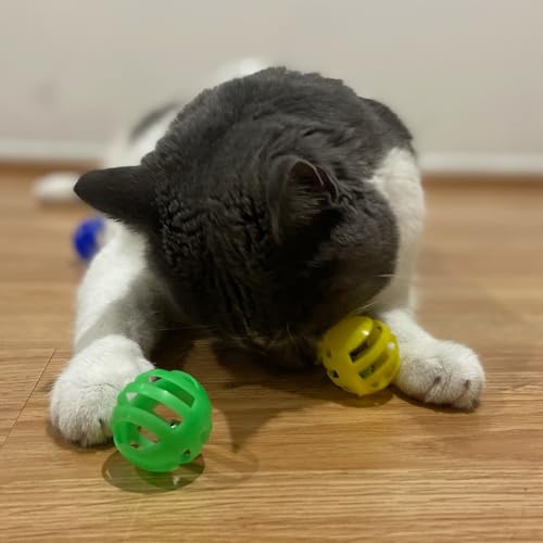 SPOT pack de 4 balles, jeu et exercice