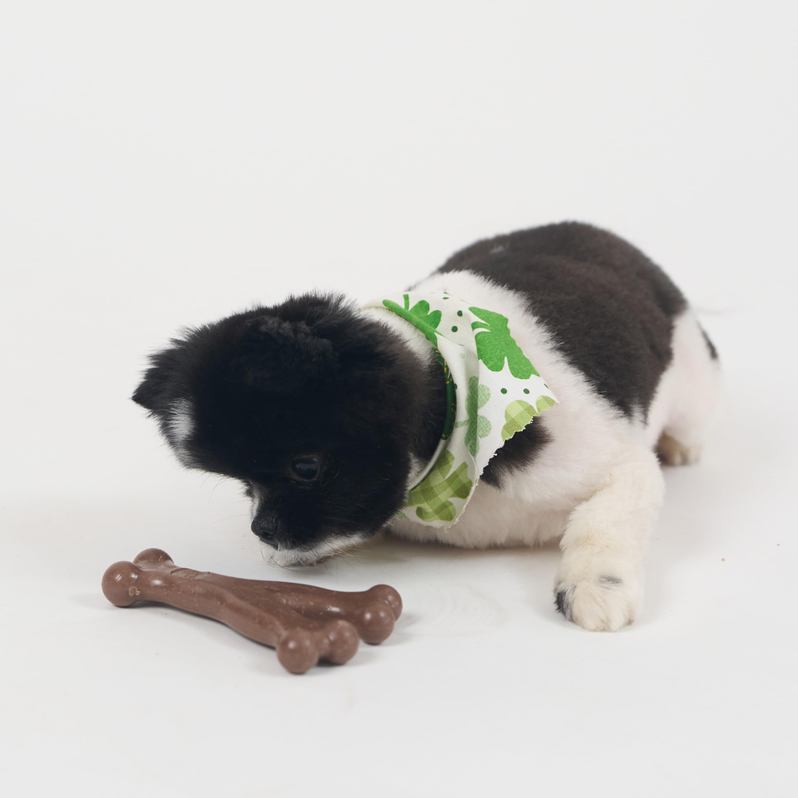 SPOT Bam-Bones dentition confort et stimulation sans danger.