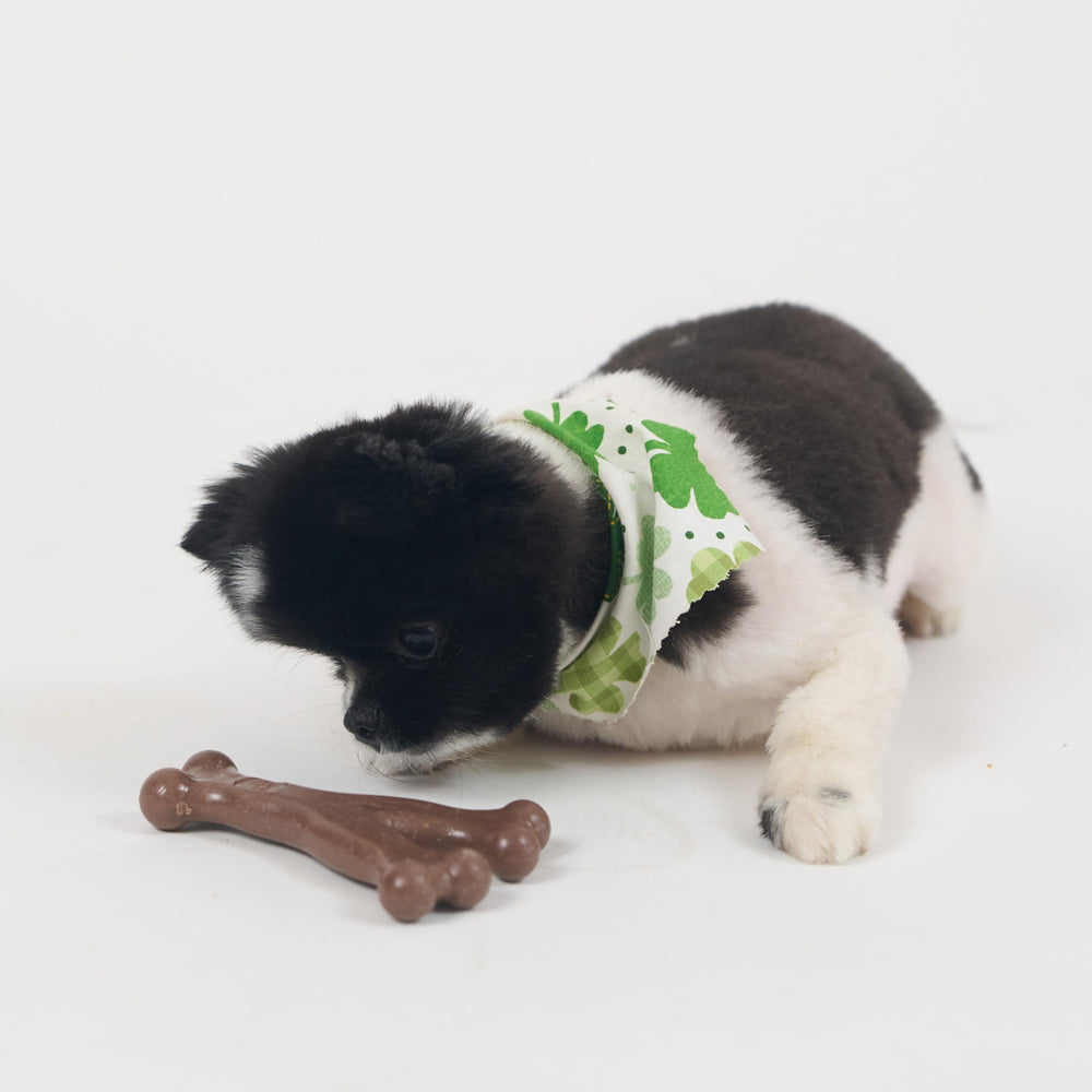 SPOT Bam-Bones dentition confort et stimulation sans danger.