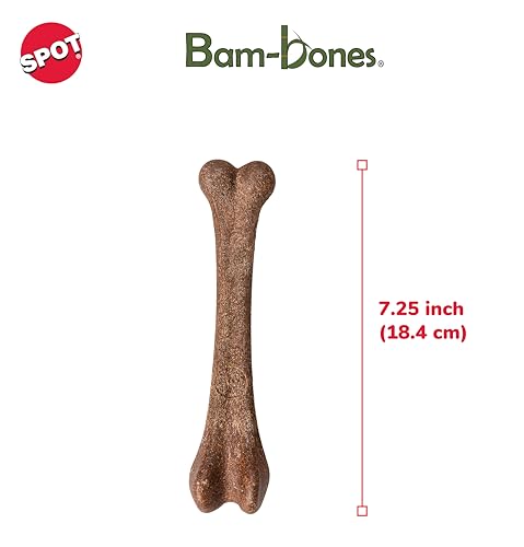 Jouet dentaire SPOT Bam-Bones en bambou, stimulation naturelle.