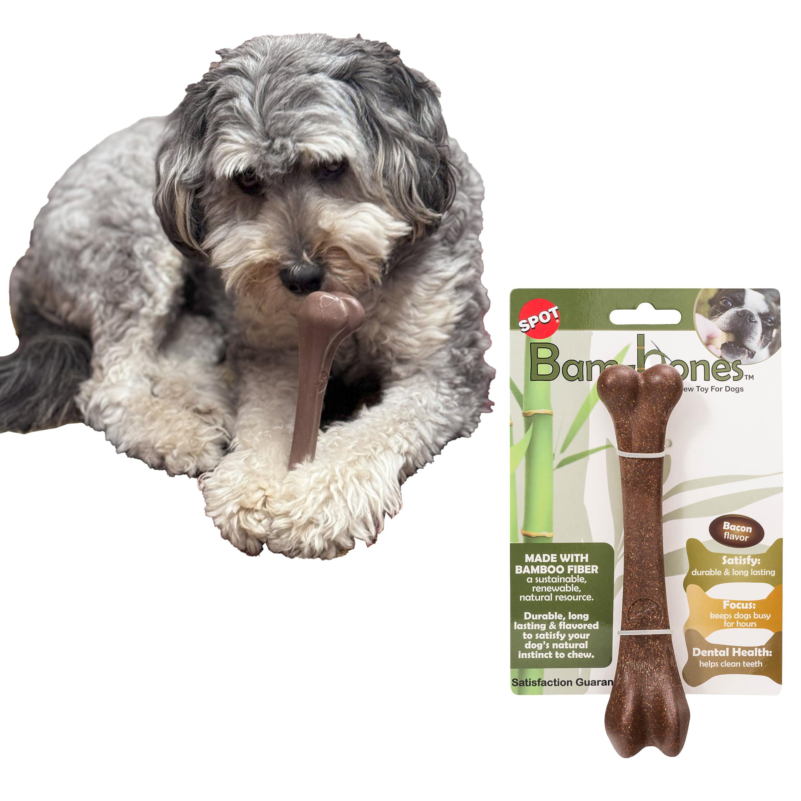 SPOT Bam-Bones Os en bambou robuste pour mâcher en sécurité.