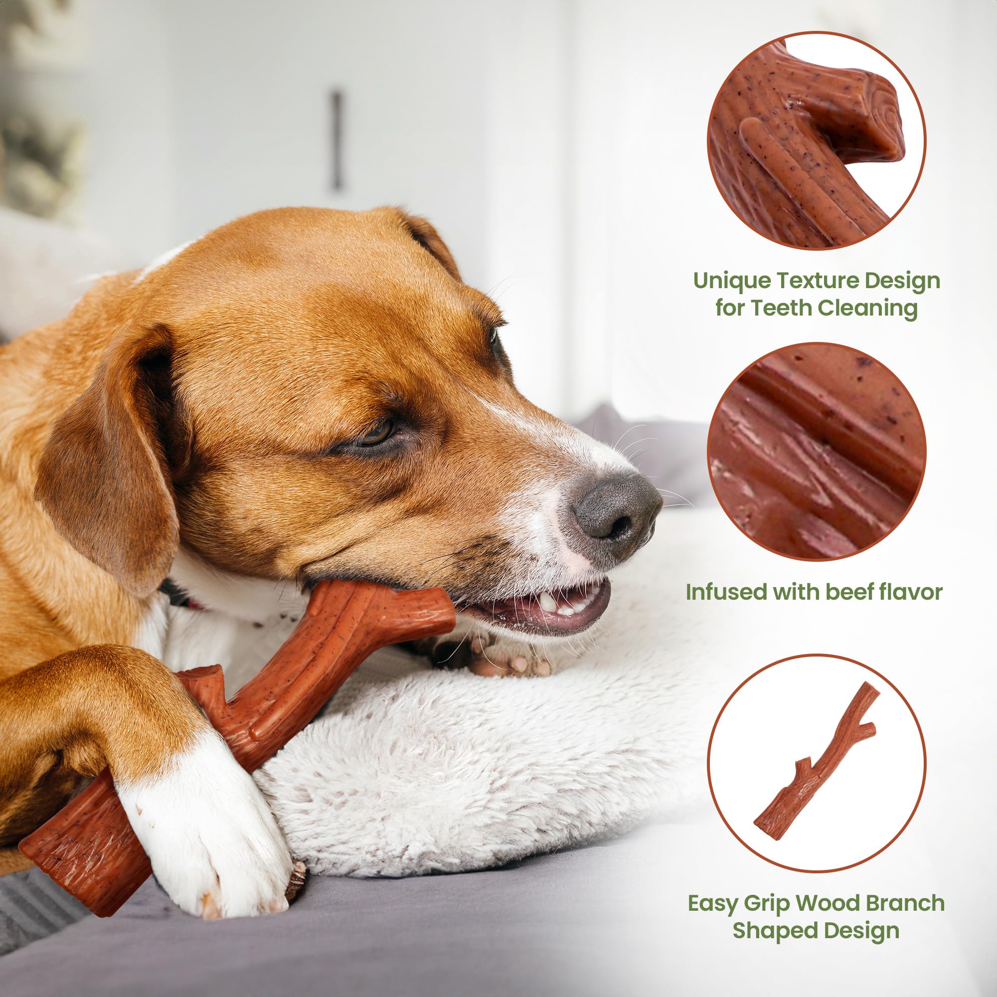 SPOT Bam-Bones Plus Aide Dentition: soutien pour poussée dentaire des chiots