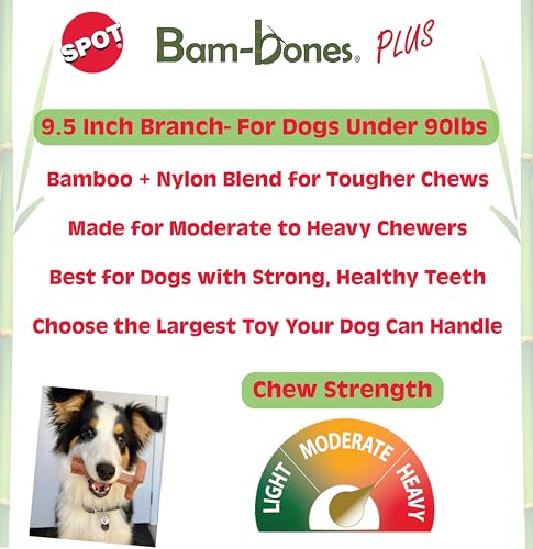 SPOT Bam-Bones Plus Fibres Bambou: texture naturelle et résistante pour mâcher longtemps