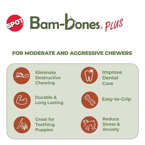 SPOT Bam-Bones Plus – reliefs dentaires pour aider le nettoyage des dents.