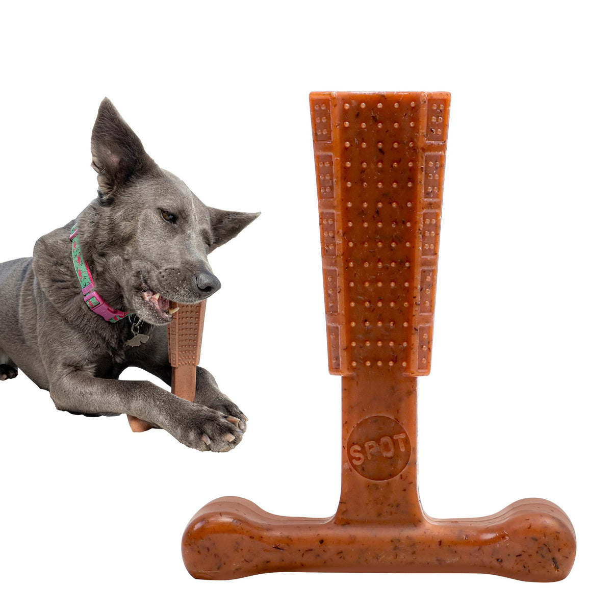 Spot Bam-Bones Plus T-Bone, forme T ergonomique facilitant la prise en main et la mastication.