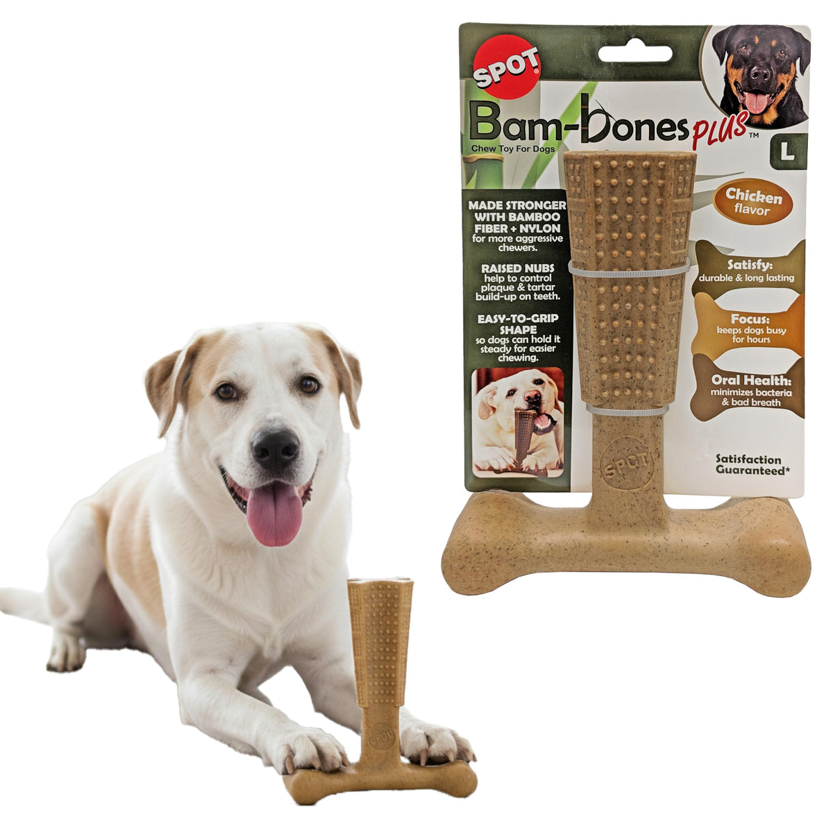 SPOT Bam-Bones Plus T-Bone, prise en main facile grâce à sa forme T-bone
