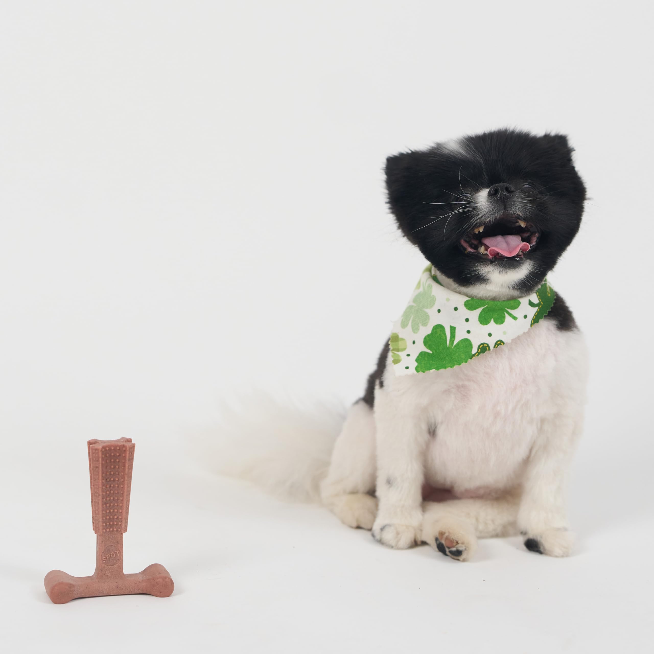 SPOT Bam-Bones Plus T Bone, saveur boeuf pour des sessions de jeu prolongées.