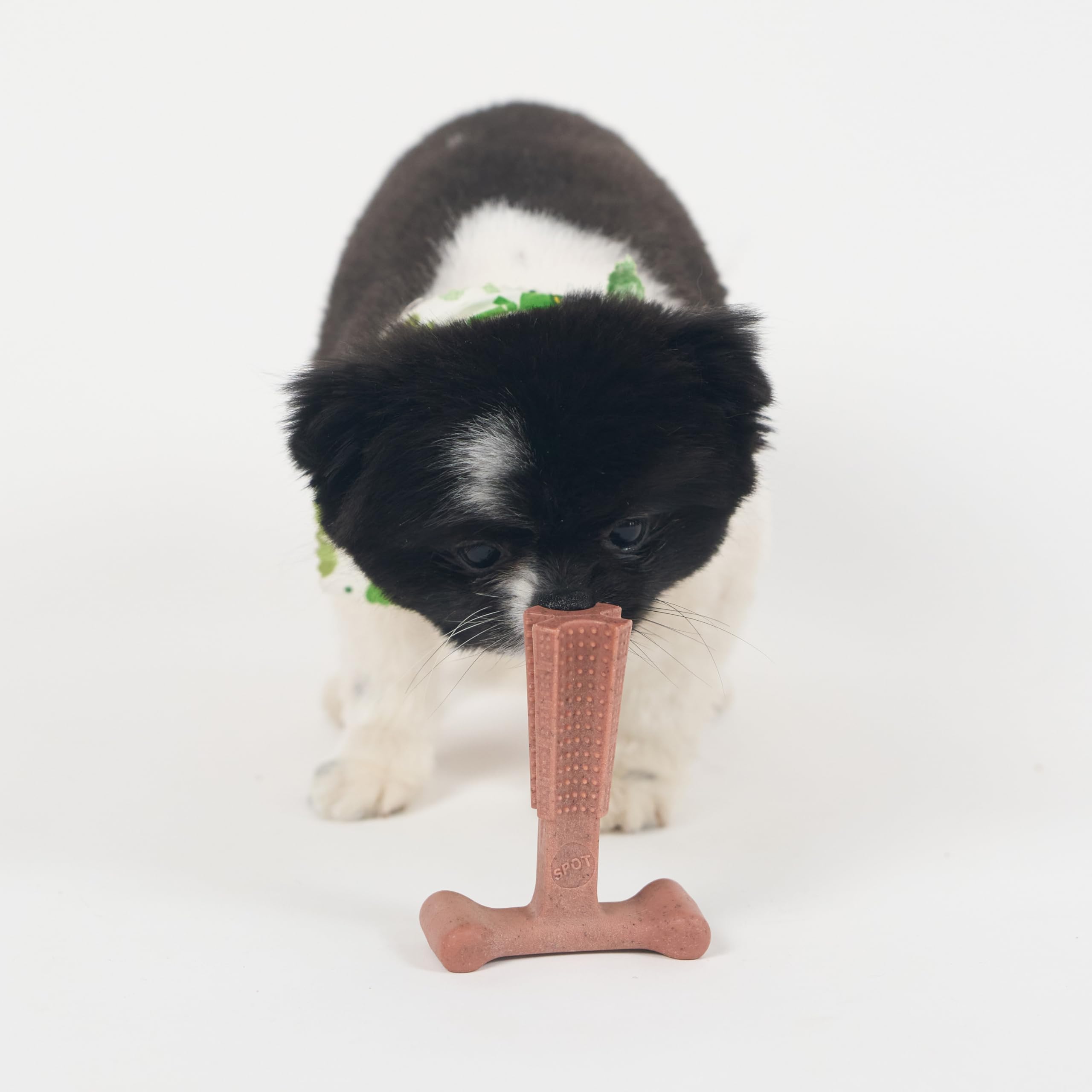 SPOT Bam-Bones Plus T Bone, usage quotidien pour calmer l’ennui et la morsure.