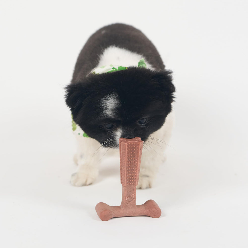 SPOT Bam-Bones Plus T Bone, usage quotidien pour calmer l’ennui et la morsure.