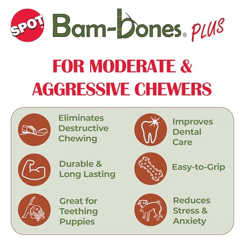 Spot Bam-Bones Plus T-Bone, surface texturée stimule gencives pendant la mastication.