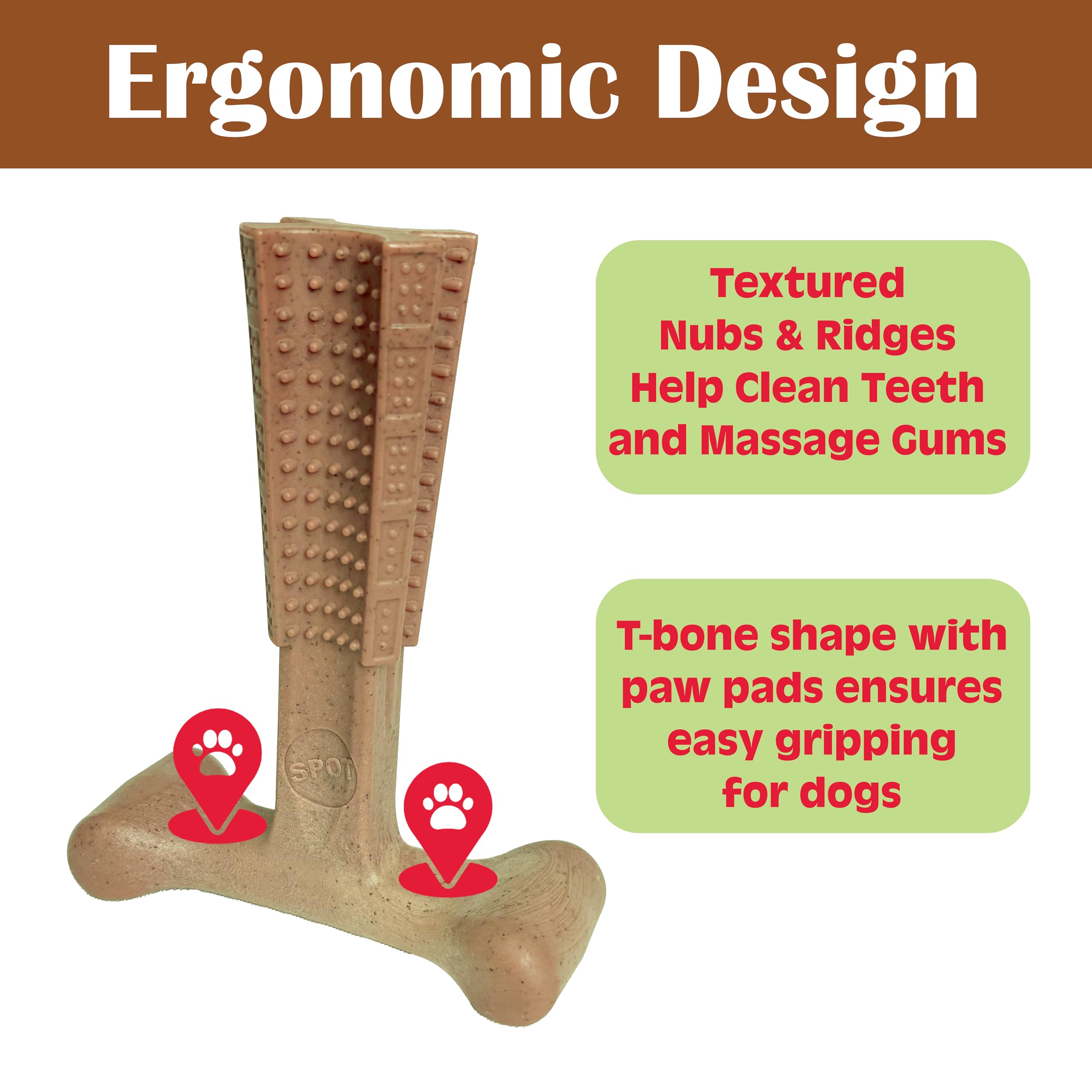 Spot Bam-Bones Plus T-Bone, surfaces elevées favorisent le nettoyage et massage des gencives.