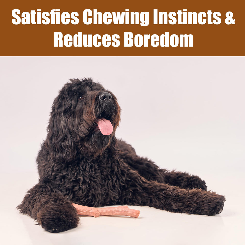 SPOT Bam-Bones Plus Usage Quotidien: parfait pour occuper et rassurer votre chien