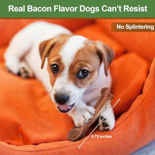SPOT Bam-Bones: saveur bacon pour stimuler le jeu et l’attention.