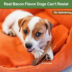 SPOT Bam-Bones: saveur bacon pour stimuler le jeu et l’attention.