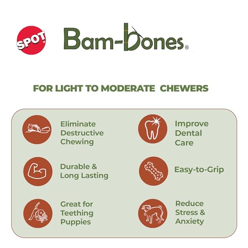 SPOT Bam-Bones texture dentale offrant une stimulation lors de la mastication.