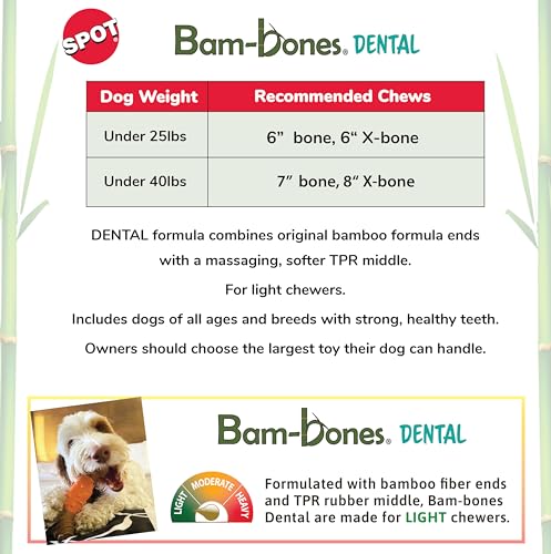 Centre caoutchouc massant et extrémités durables pour mastication quotidienne SPOT Bam-Bones.