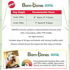 Centre caoutchouc massant et extrémités durables pour mastication quotidienne SPOT Bam-Bones.