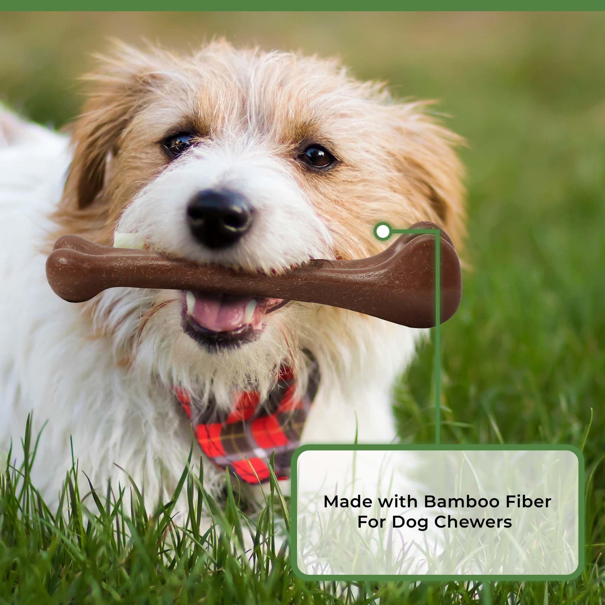 SPOT Bam-Bones: parfait pour chiens adultes et chiots en dentition légère.
