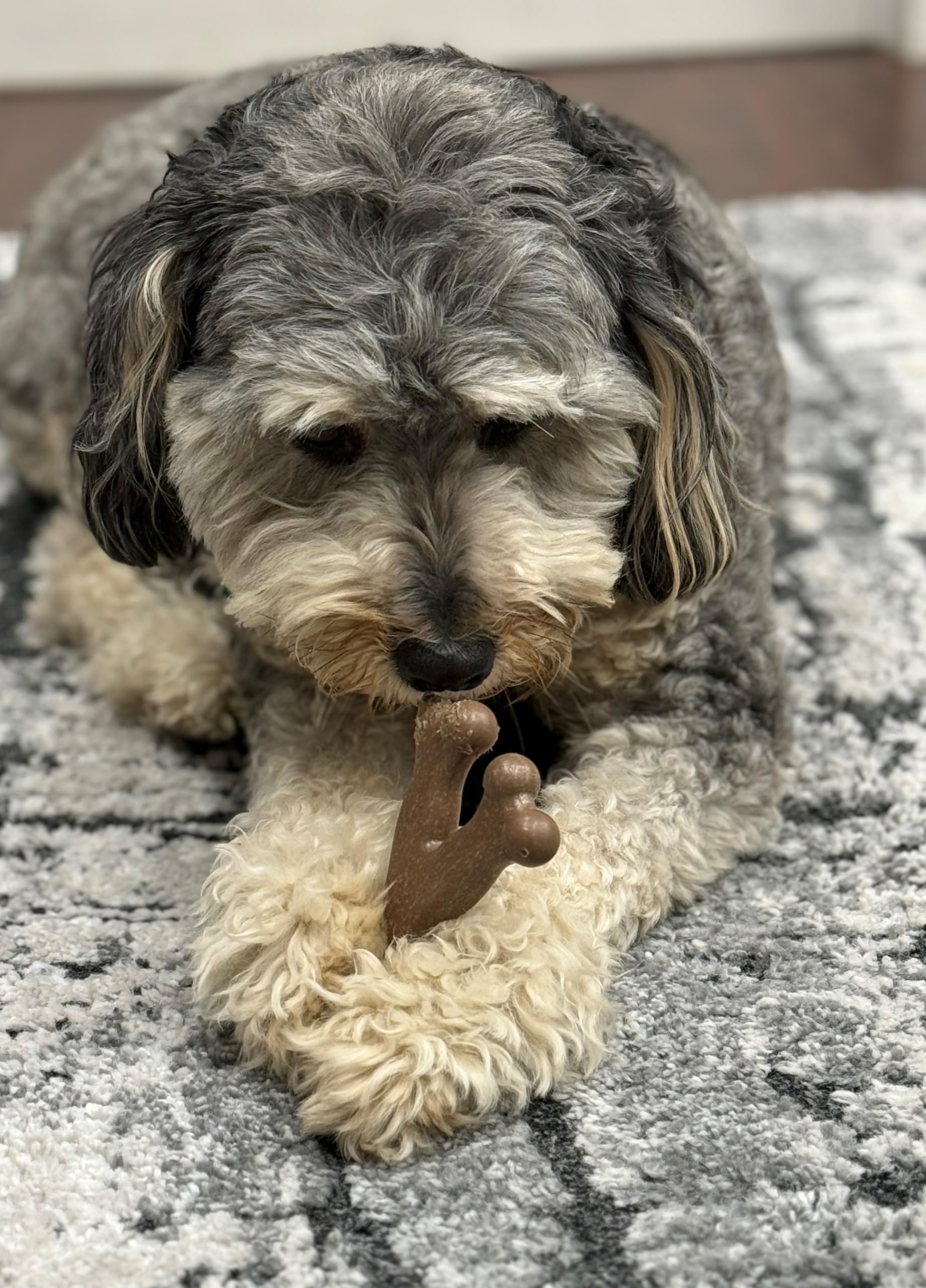 SPOT Bam-Bones Wishbone – arôme poulet qui attire et retient l’attention des chiens.