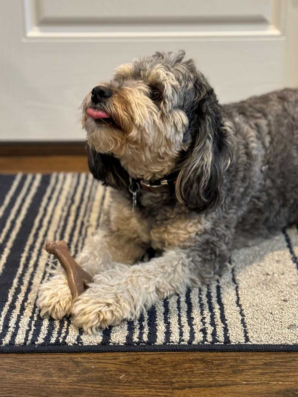 SPOT Bam-Bones Wishbone – matériau durable pour des sessions de jeu plus longues.