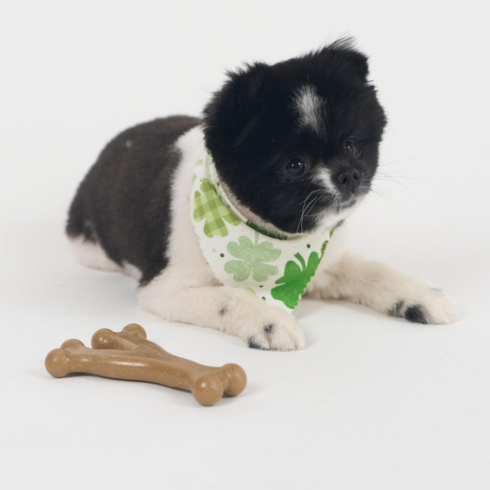 SPOT Bam-Bones Wishbone – idéal pour les jeux quotidiens et la dentition.