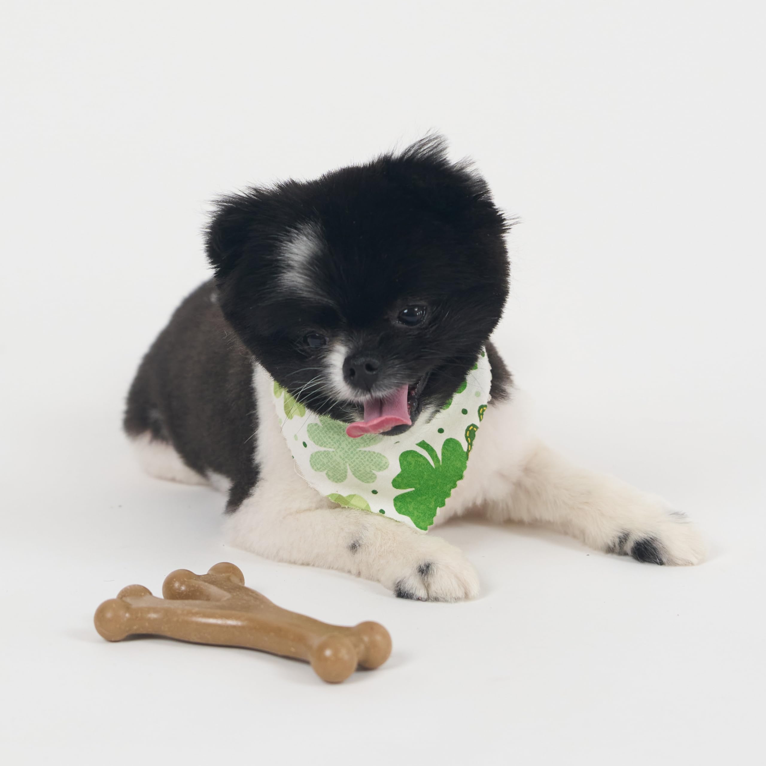 SPOT Bam-Bones Wishbone – stimule la mastication indépendante du chien.