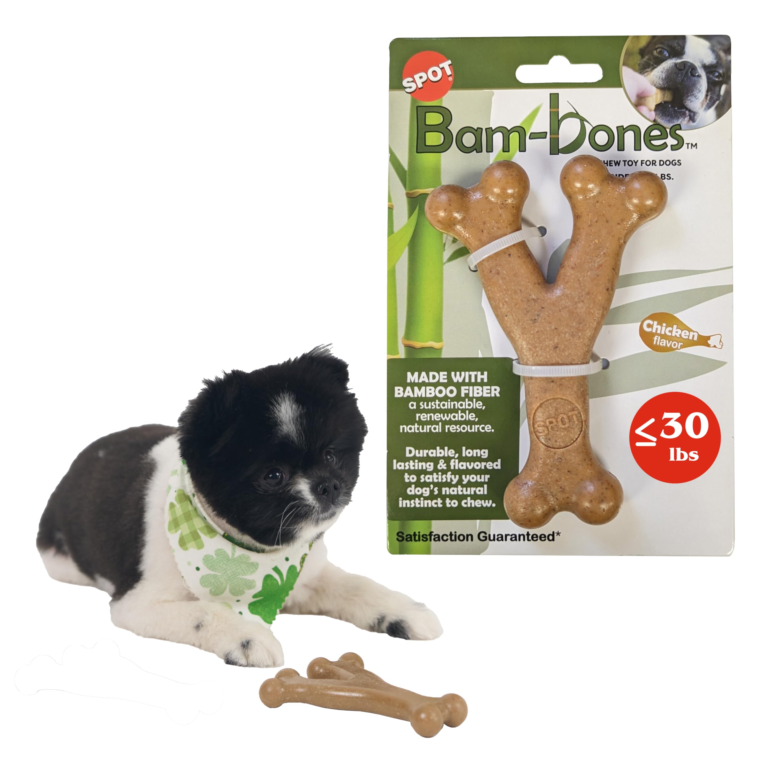SPOT Bam-Bones Wishbone – prise facile entre les pattes pour un jeu indépendant.