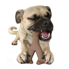 SPOT Bam-Bones Wishbone – jouet sans éclats pour des sessions de mastication plus sûres.