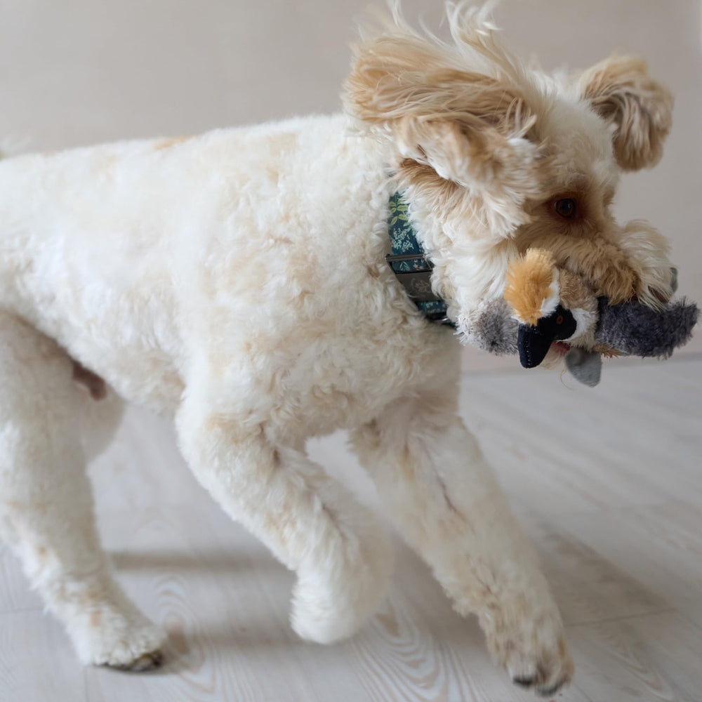 SPOT Bird Calls : peluche idéale pour chiens legers et moyens.
