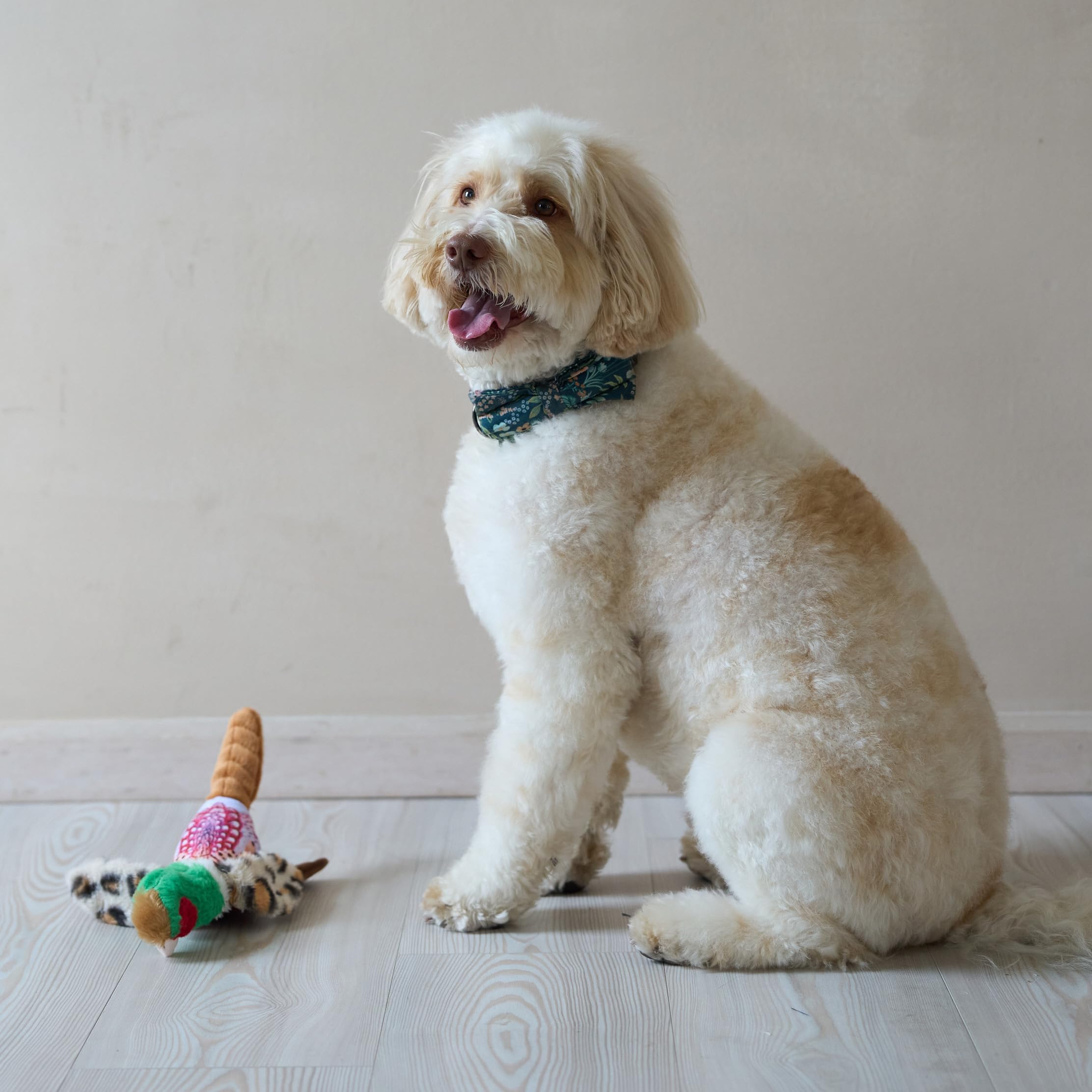 SPOT Bird Calls : peluche douce pour jeux d'intérieur et détente.