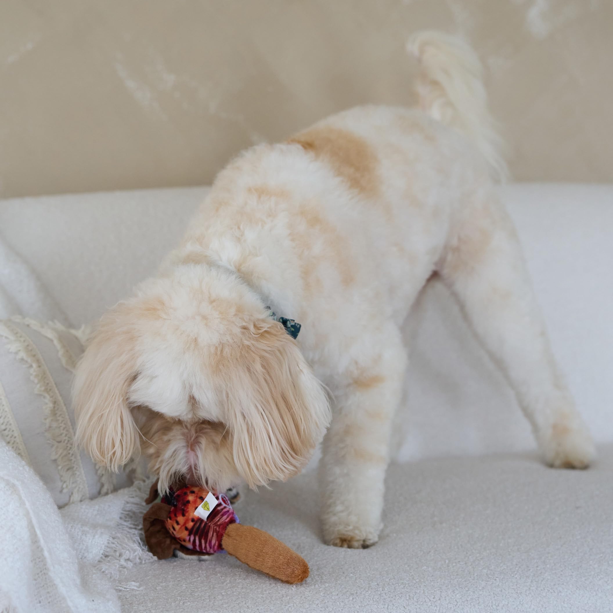 SPOT Bird Calls : peluche durable et agréable au toucher.