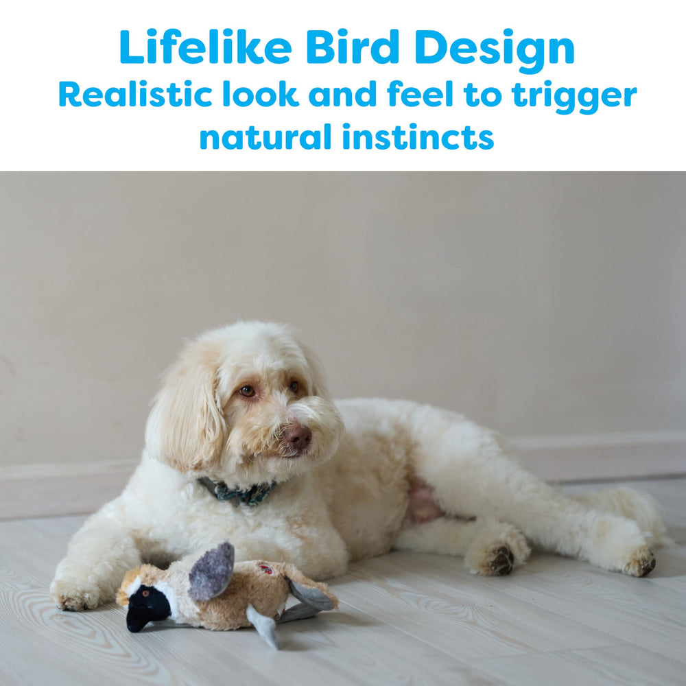 SPOT Bird Calls : peluche-oiseau avec puce sonore, ajout d'excitation au jeu.