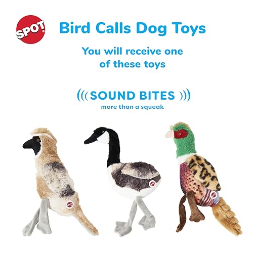 SPOT Bird Calls : peluche oiseau realiste, stimulation naturelle pendant le jeu.