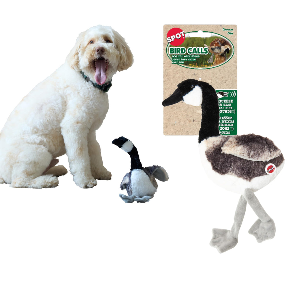 SPOT Bird Calls : peluche oiseau-sons-reels pour divertir votre chien.