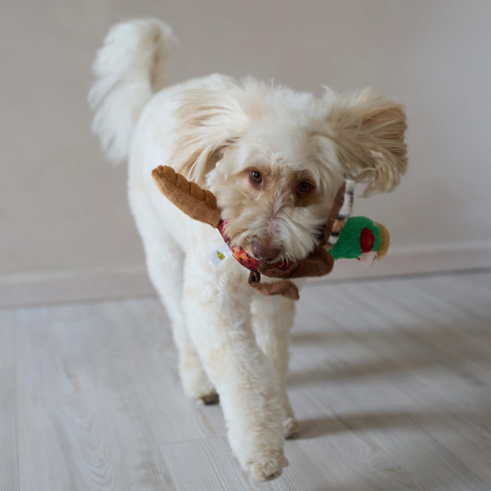 SPOT Bird Calls : peluche-oiseau, parfait pour ramener et câlins en intérieur.