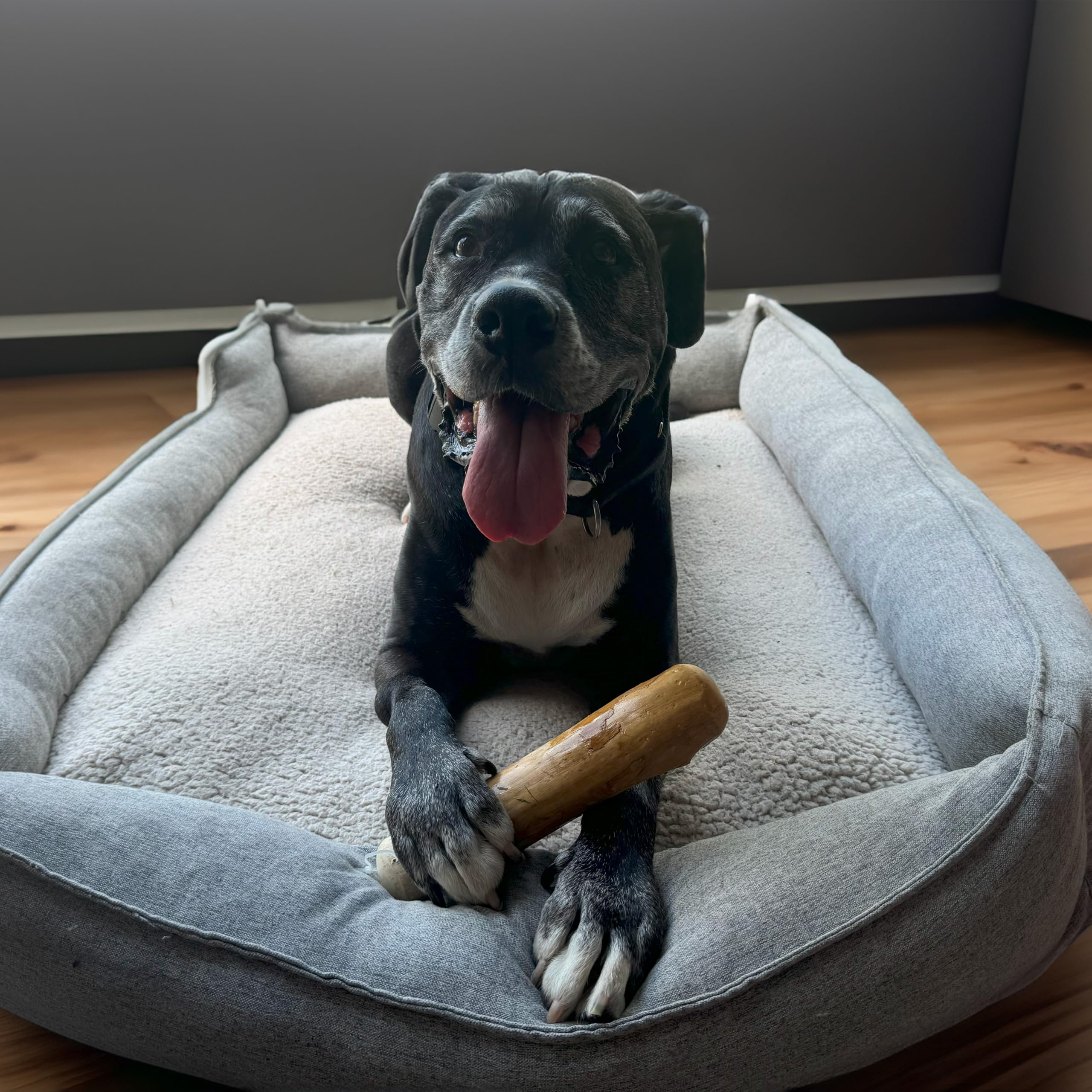SPOT Bois Café: jouet de morsure XXL adapte aux chiens tres lourds.