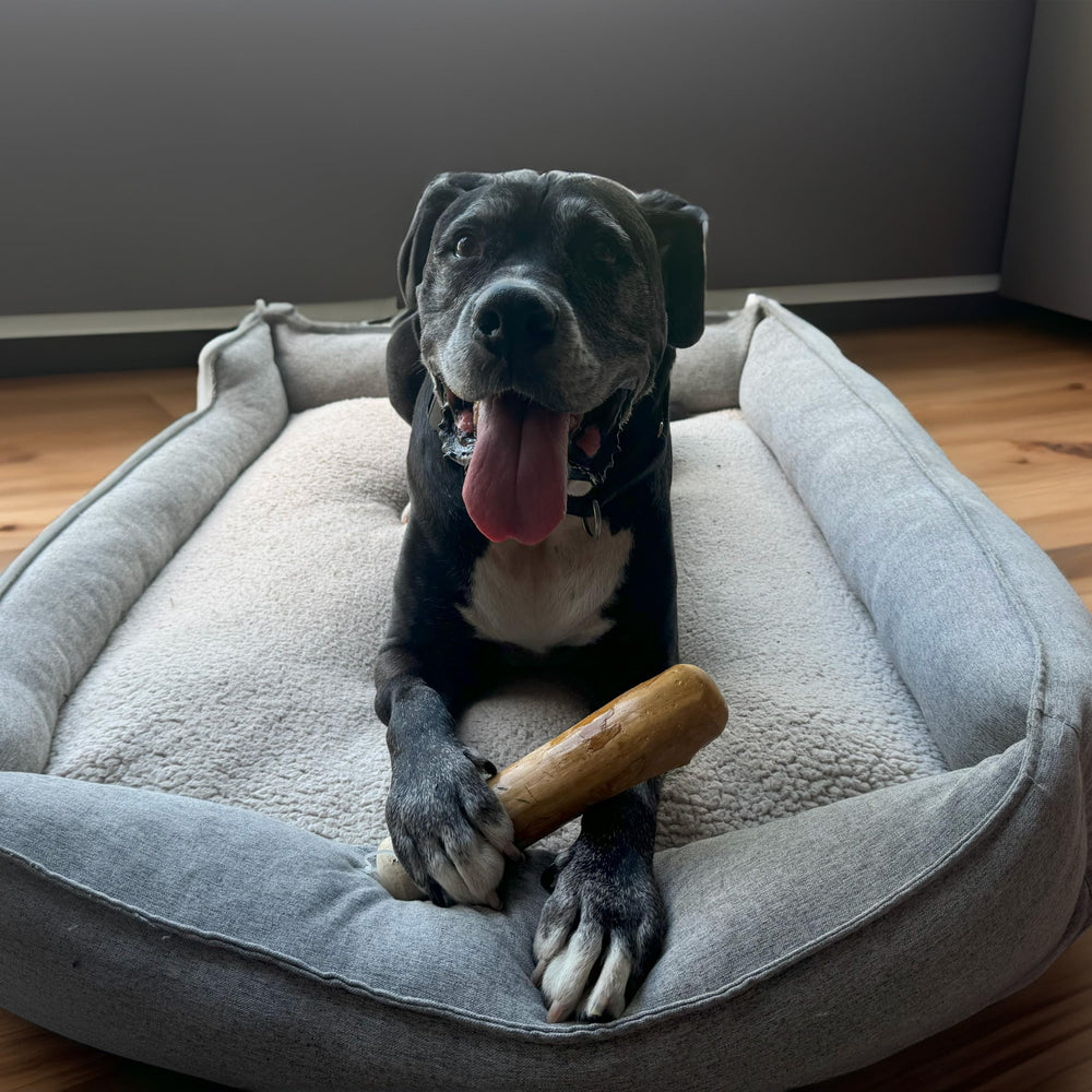 SPOT Bois Café: jouet de morsure XXL adapte aux chiens tres lourds.