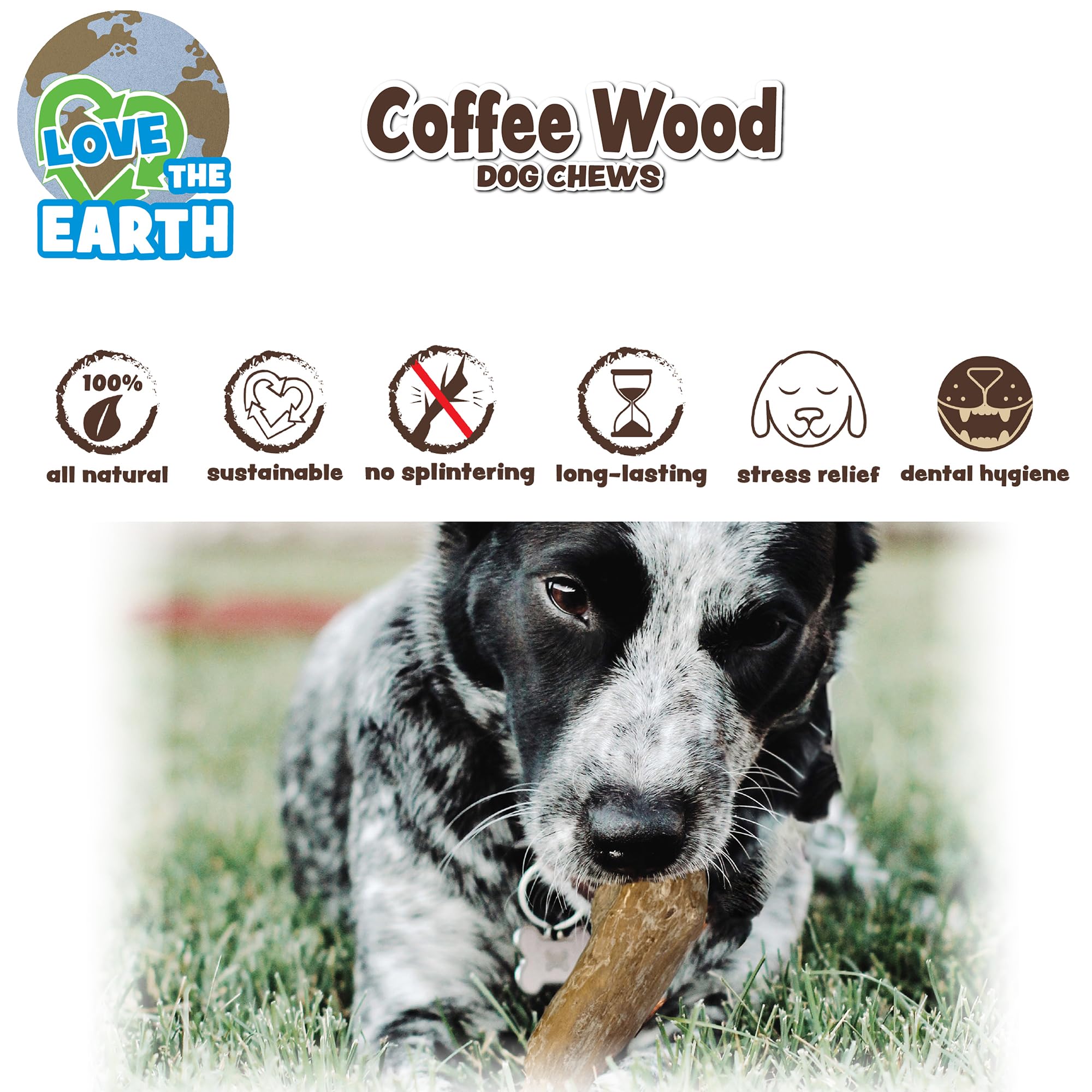 SPOT Bois Café: utilisation quotidienne pour chiens forts et gros mâcheurs.