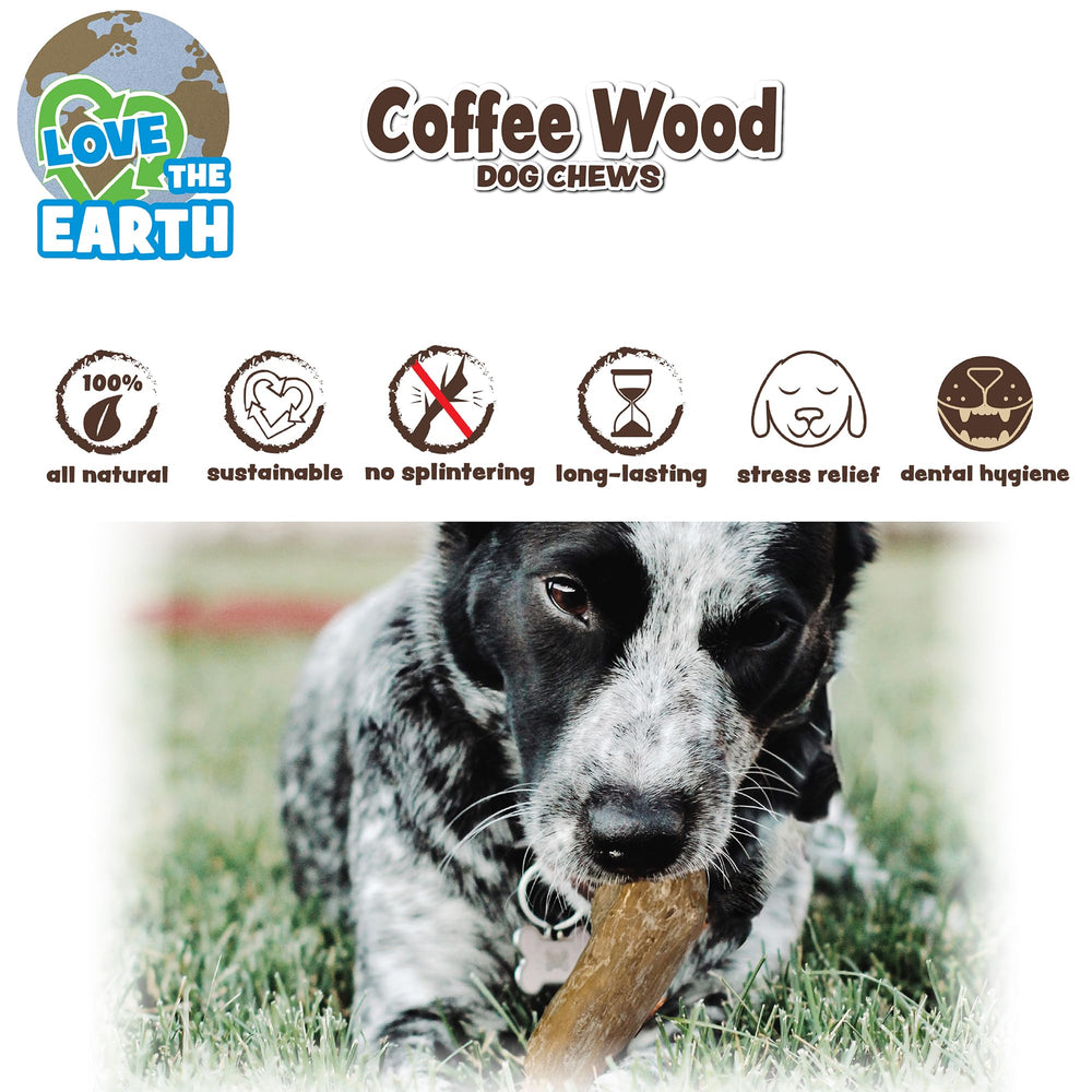 SPOT Bois Café: utilisation quotidienne pour chiens forts et gros mâcheurs.